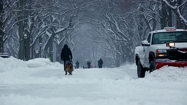 在美国纽约中央公园的暴风雪中，扫雪机和人们走在被一排雪树包围的林荫道上视频素材