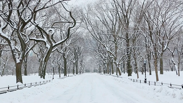 美国纽约中央公园，被雪覆盖和被雪树包围的购物中心的WS TU视图视频素材