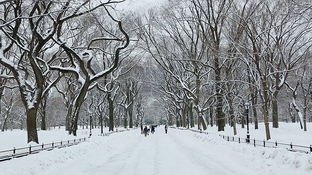 美国纽约中央公园，被雪覆盖和被一排雪树包围的购物中心视频素材