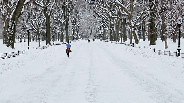 美国纽约中央公园，被雪覆盖和被一排雪树包围的购物中心视频素材