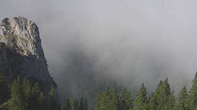 云在山中低移动，森林山谷视频素材