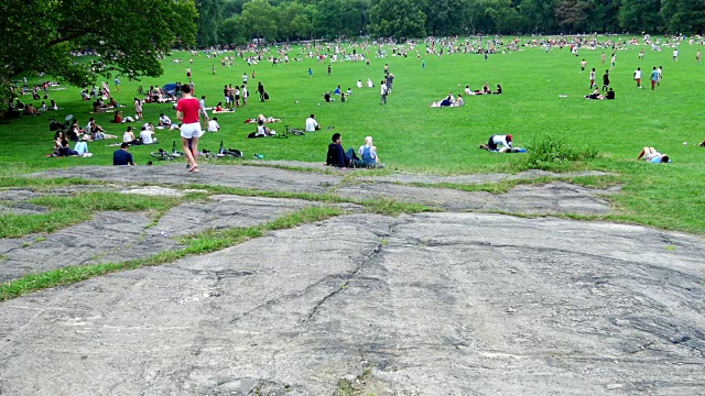 绵羊草地，中央公园，纽约市视频素材