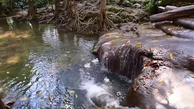 绿林溪流视频素材