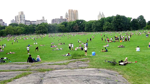 绵羊草地，中央公园，纽约市视频素材