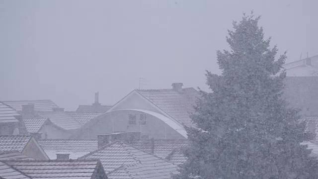 大雪奥地利视频下载