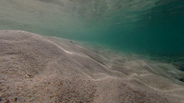 浅水视频下载