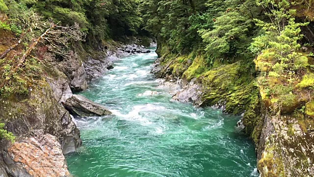 新西兰哈斯特帕斯的蓝色池塘视频素材