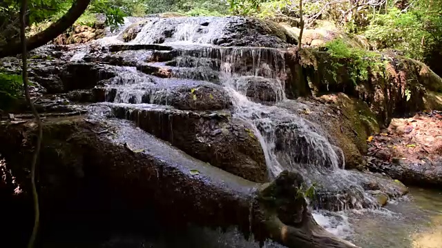 绿林溪流视频素材