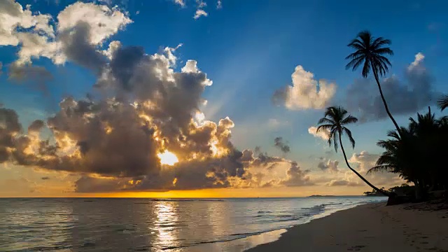 热带海滩和棕榈树上日出的时间流逝视频素材