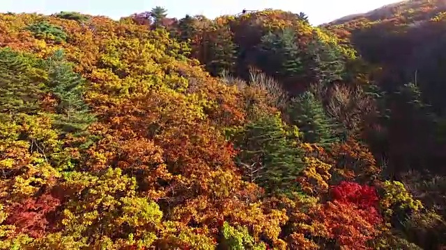 奇里桑国家公园秋色斑斓的野戈丹山顶景观视频素材