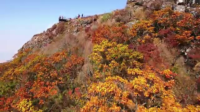 奇里桑国家公园里秋色斑斓的野戈丹山顶景观和通讯塔视频素材