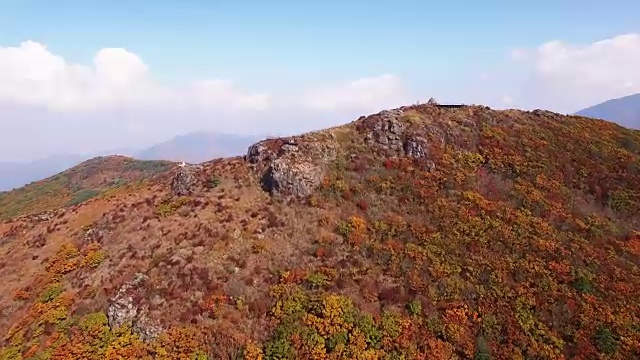 奇里桑国家公园里秋色斑斓的野果丹山顶和道路视频素材