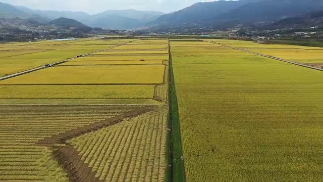 广阔的稻田和山脉鸟瞰图视频素材