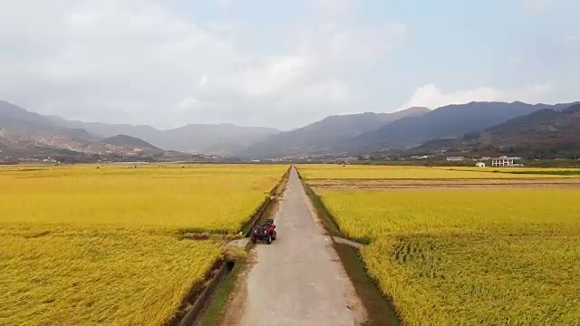 广阔的稻田和山脉鸟瞰图视频素材