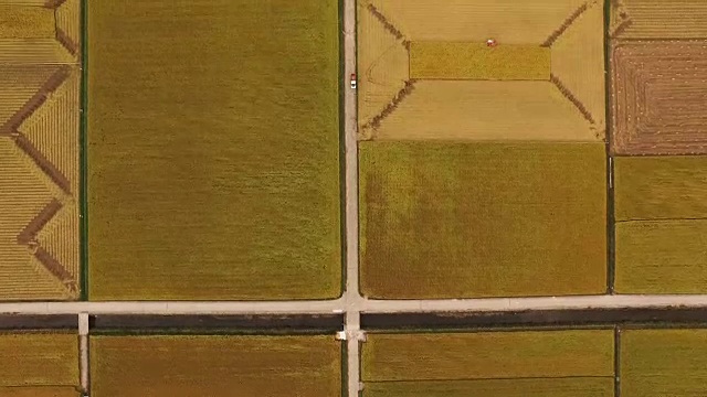 宽阔的稻田和道路鸟瞰图视频素材