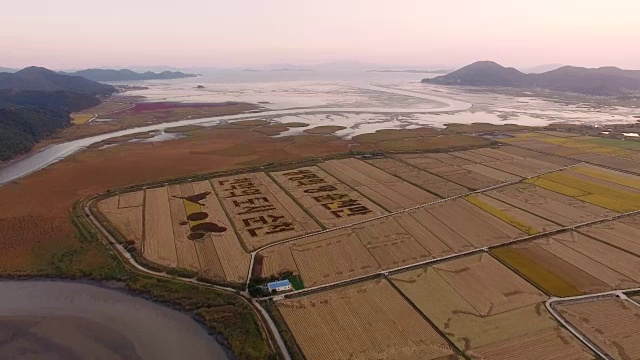 顺天门湾(自然地标，生态公园)稻田中的韩式画视频素材