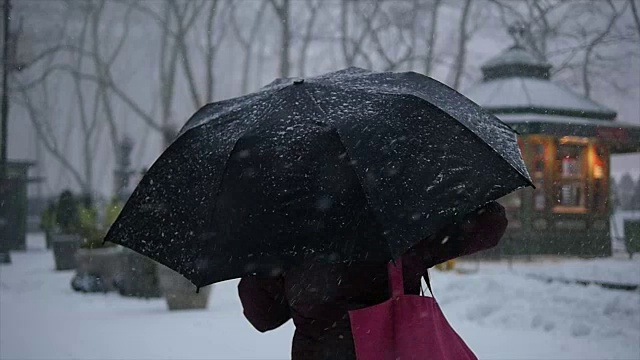 纽约的冬季暴风雪。雪花背景慢动作拍摄视频素材