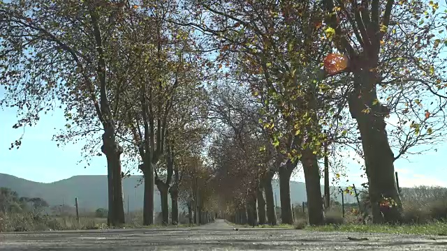 法国乡村道路视频下载