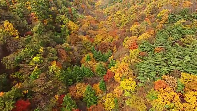 大墩山的风景与秋天的颜色视频素材