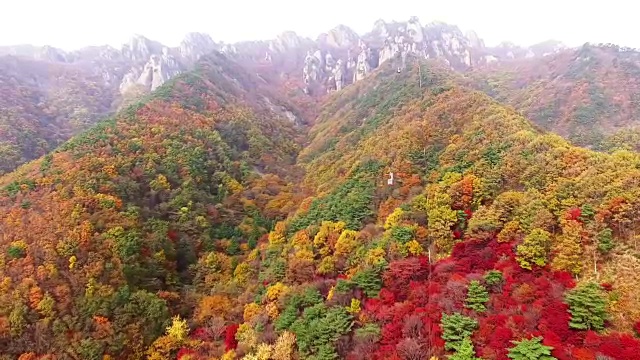 大墩山的风景与秋天的颜色视频素材