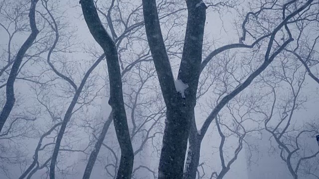 纽约有暴风雪。天气好多风景。城市冬季背景视频素材