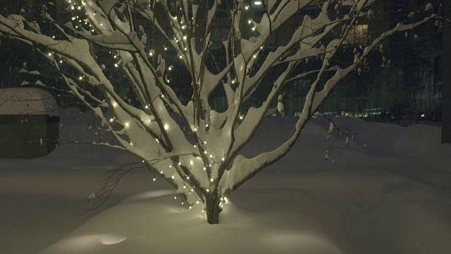 纽约有暴风雪。天气好多风景。城市冬季背景视频素材