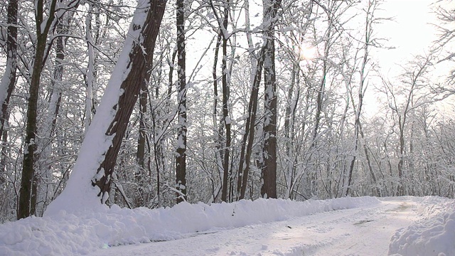 HD超级慢莫:雪落在路上视频素材