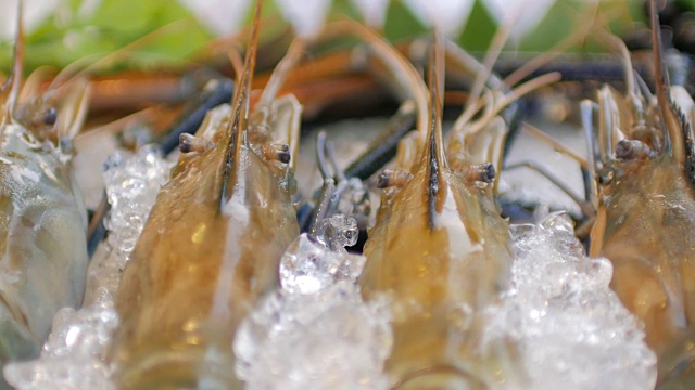 冰上河虾和新鲜海鲜特写，摇拍，4k(超高清)视频素材