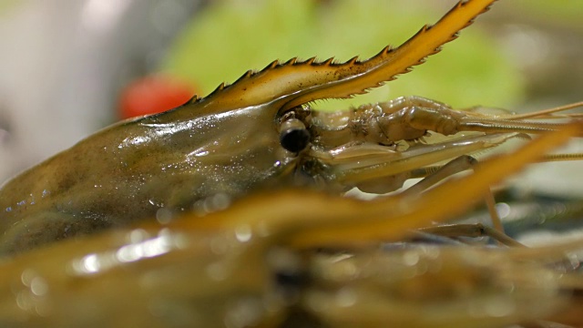 冰上河虾和新鲜海鲜特写，摇拍，4k(超高清)视频素材