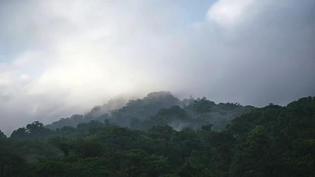 在El Triunfo生物圈保护区，云层在森林的树冠上飞掠。视频素材