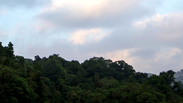 在El Triunfo生物圈保护区的树冠上移动的云的延时拍摄。视频素材