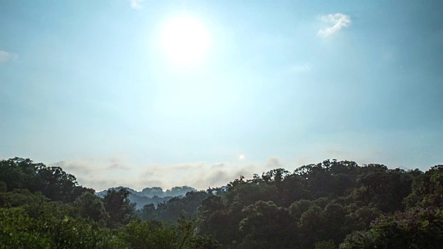 云团在El Triunfo生物圈保护区的树冠上移动的时间间隔。视频素材