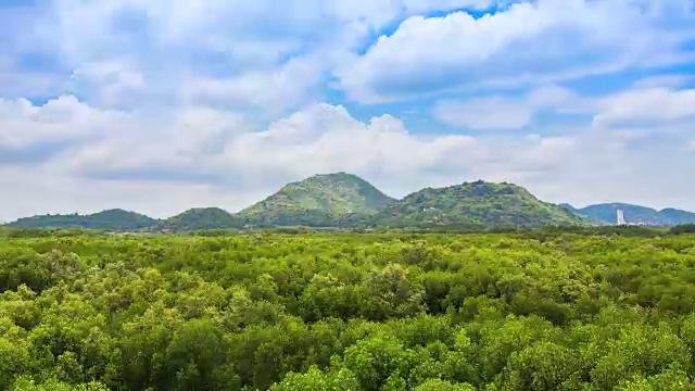 森林山视频下载