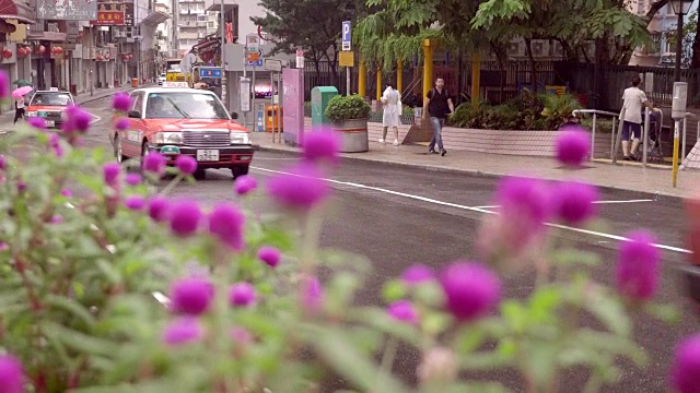 香港的花、的士、巴士和小汽车视频下载