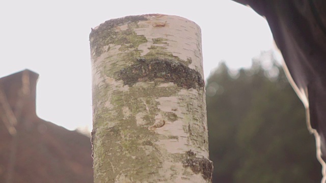 慢镜头:用斧头劈柴，背景是阳光视频素材