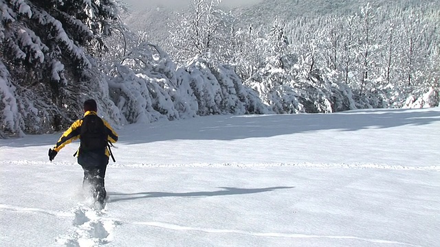 HD:在雪地里奔跑视频素材