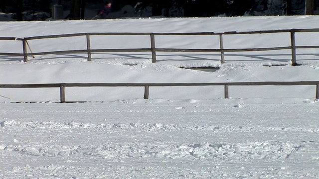 HD:越野滑雪视频素材