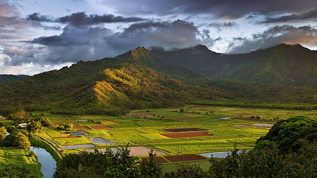 太阳正落在哈纳莱山谷的芋头地里视频素材