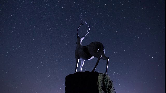 1100高地休息区星光灿烂的天空和鹿像(位于高地的湿地，登记在拉姆萨尔湿地)视频素材