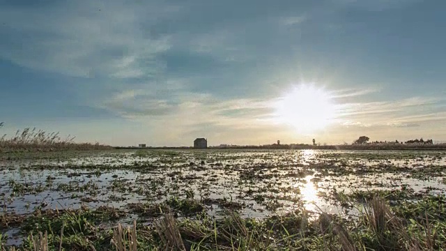 4K日落在稻田-时间流逝视频素材