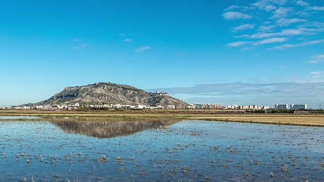 库莱拉市4K稻田-超时空流逝视频素材