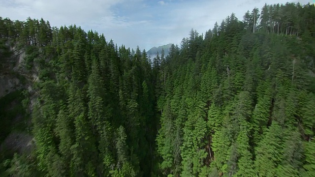 WS鸟瞰图飞越高半岛树线突破云和海岸山脉进一步北/奇查夫岛，阿拉斯加，美国视频素材