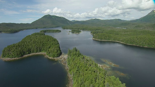 WS鸟瞰图飞过森林岛屿群的西部边缘岛屿附近的Paulina岛/ Chichagof岛，阿拉斯加，美国视频素材