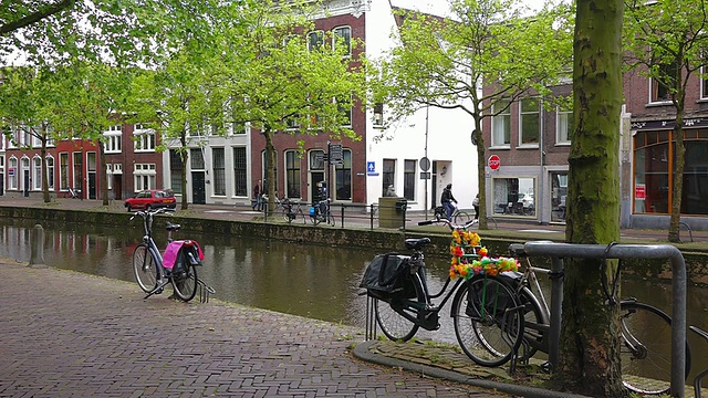 MS Cycle stand near canal at Lage Gouwe, old town of Gouda / Gouda，荷兰，南荷兰视频素材