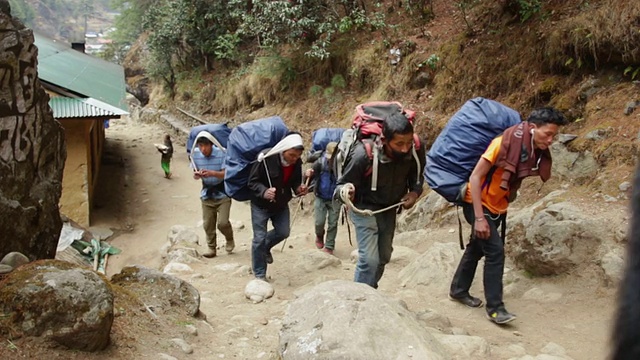 在尼泊尔的索卢昆布旅馆外，人们可以听到喜马拉雅山Dzo Yaks的声音视频素材