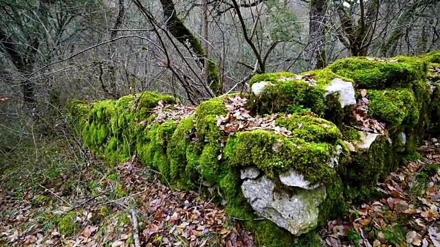 在Orbaneja del Castillo墙上覆盖着苔藓视频素材