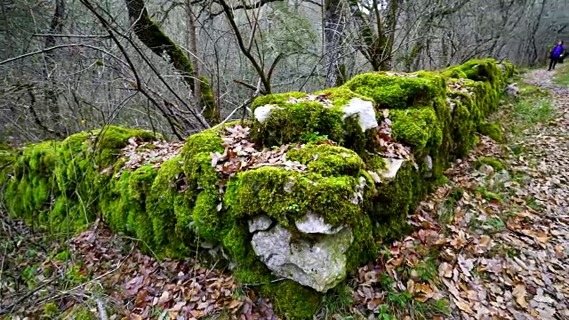 在Orbaneja del Castillo墙上覆盖着苔藓视频素材