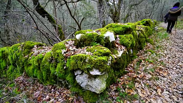 在Orbaneja del Castillo墙上覆盖着苔藓视频素材