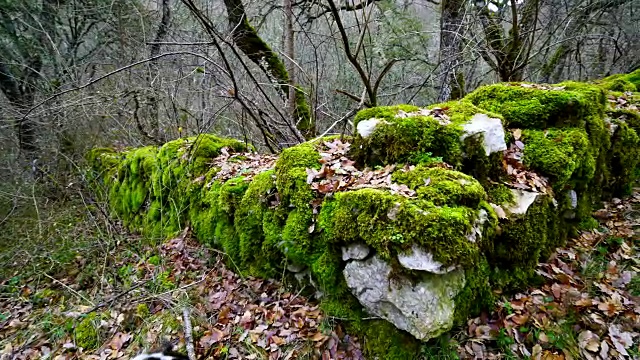 在Orbaneja del Castillo墙上覆盖着苔藓视频素材