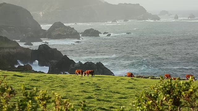 大苏尔的岩石海岸线，海浪拍打着海岸，阳光照耀着。视频素材